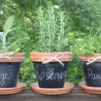 DIY Chalkboard Painted Pots