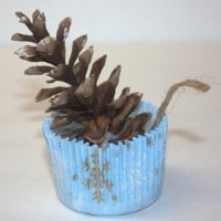 DIY Fire Starter