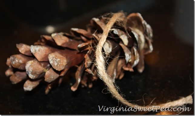 Twine Wrapped Pinecone