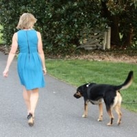 April Stitch Fix - Sweet Pea