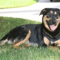 Handsome Sherman Skulina