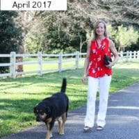 Stitch Fix Review for April 2017