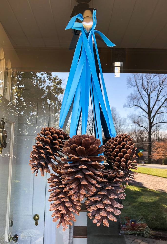 Pine cones hanging on a door with ribbon.