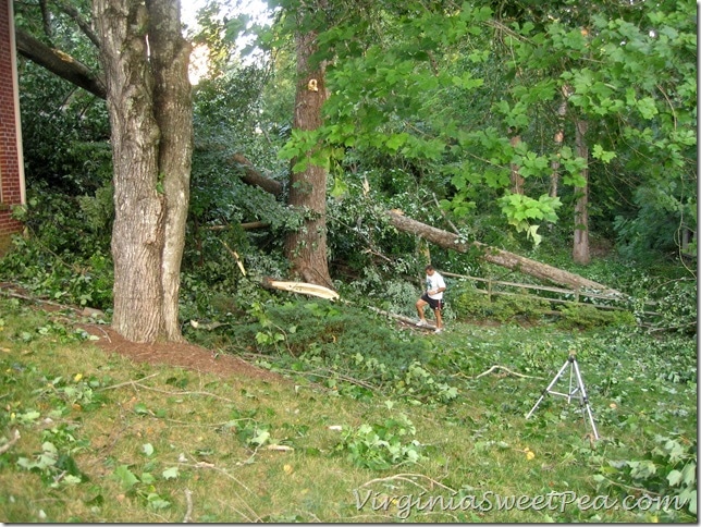 Storm Damage Update