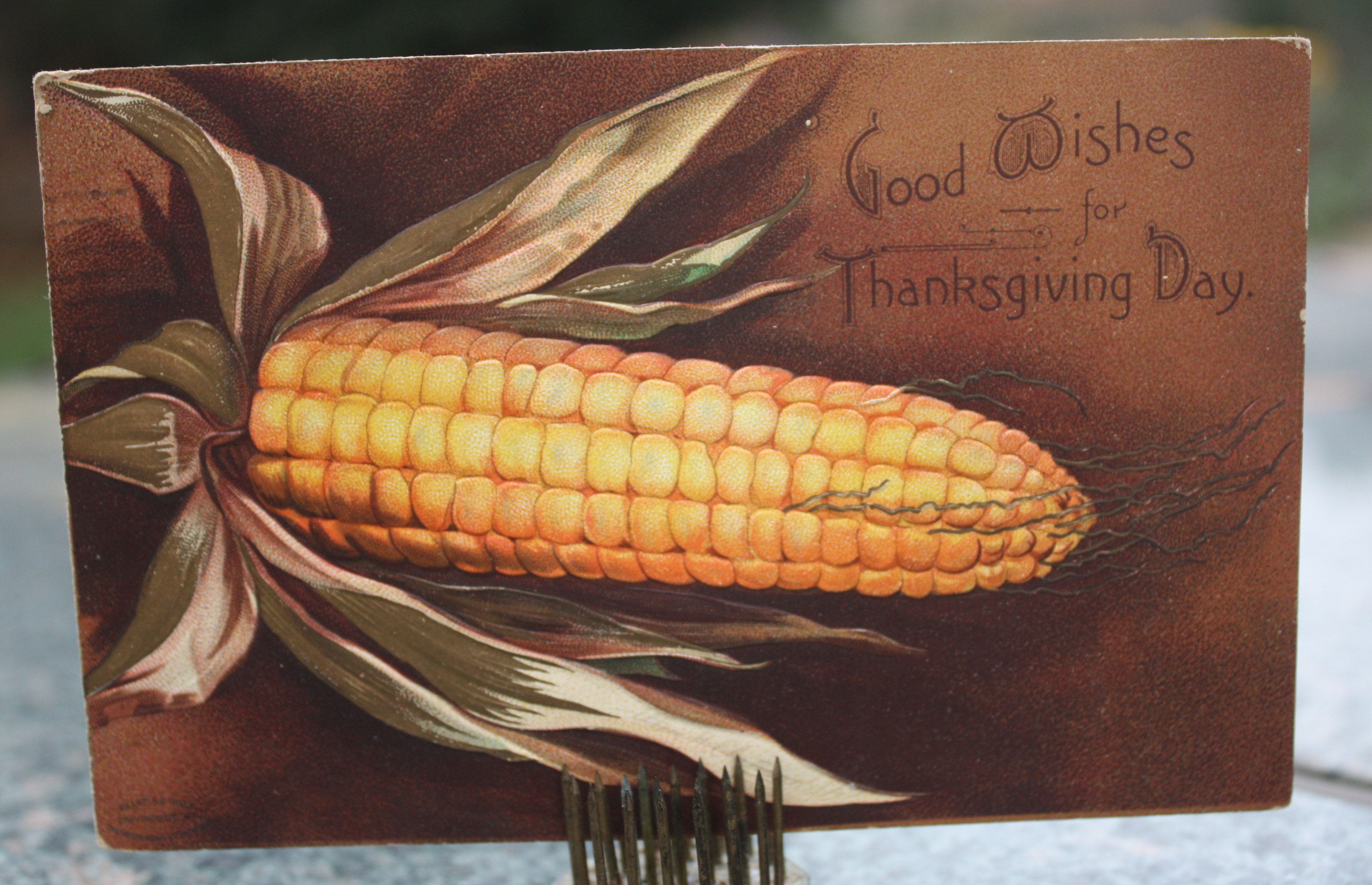 Vintage Thanksgiving Post Cards