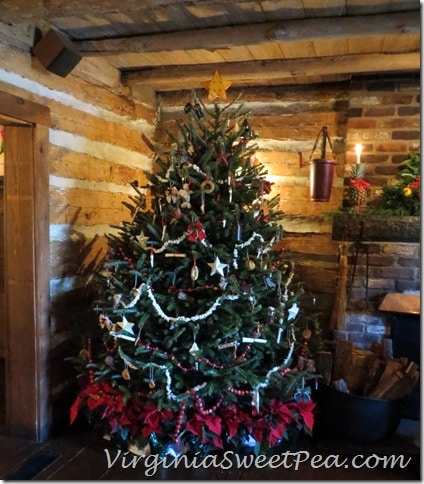 Michie Tavern Tree