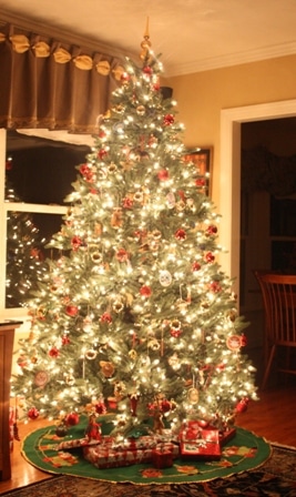 Our 2012 Christmas Tree