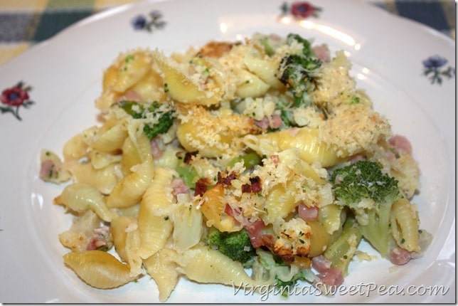 Baked Shells with Broccoli and Ham