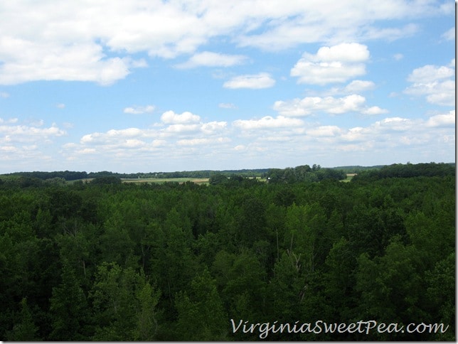 High Bridge View