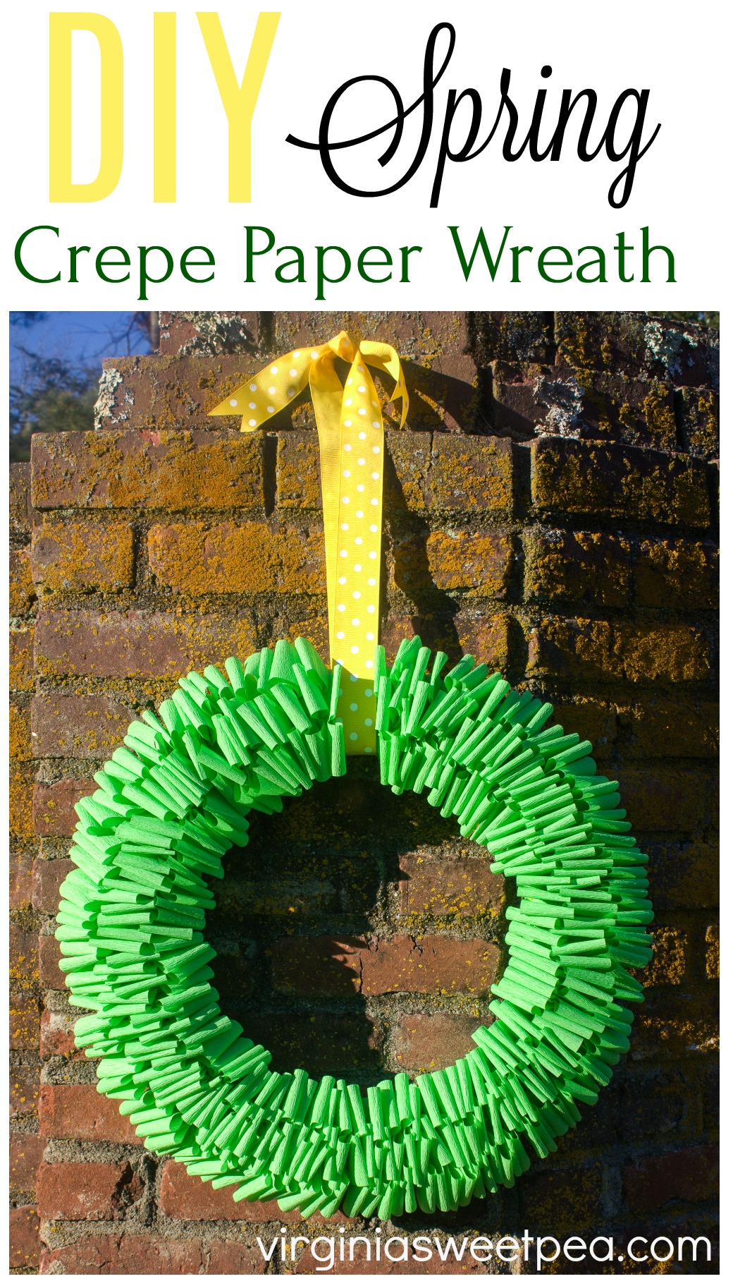 DIY Spring Crepe Paper Wreath - Learn how to make a crepe paper wreath for spring. Customize the look with your choice of crepe paper and ribbon colors. #wreath #springwreath #springcraft #crepepaper #crepepapercraft