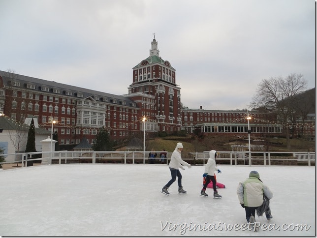 Homestead Ice Skating