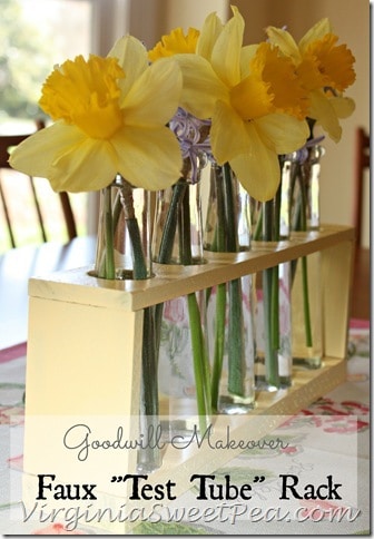 Goodwill Makeover - Faux Test Tube Flower Vase