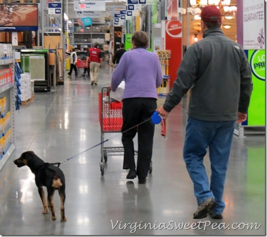 Sherman shopping at OBX Lowes