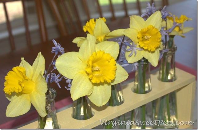 Spring Blooms in Faux Test Tube Holder