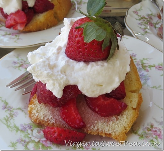 Strawberry Shortcake