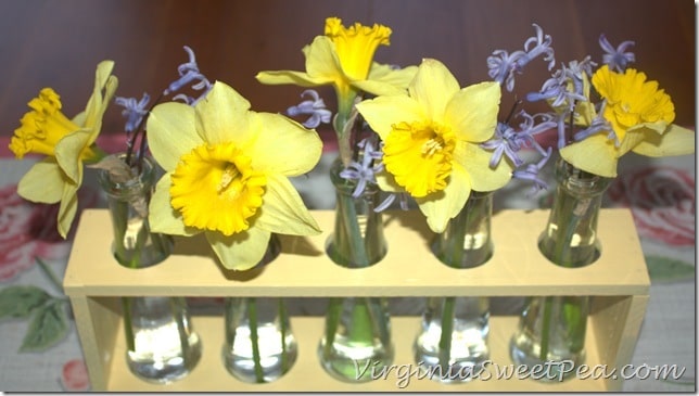 Yellow and Purple Blooms in Faux Test Tube Holder