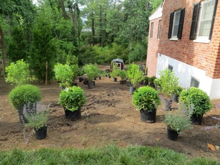 Giant Landscape Project :: Lots of Digging Ahead!