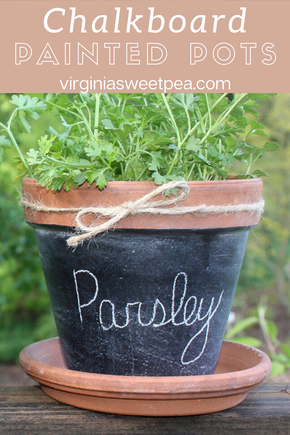 DIY Chalkboard Painted Pots Sweet Pea