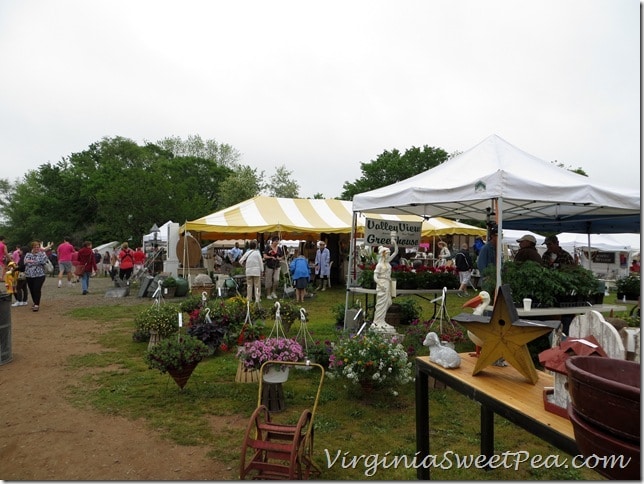 Tents at Lucketts