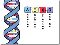 What Secrets Does Your DNA Hide? Find out with 23 and Me