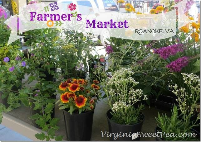 Farmers Market in Roanoke VA by virginiasweetpea.com