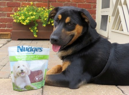 Safe Dog Fun for Summer and Made in the USA Dog Treats  #NudgesMoments