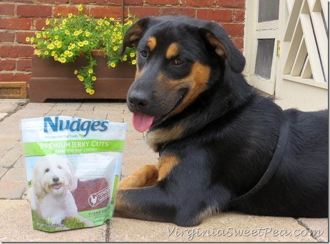 Nudges Dog Treats