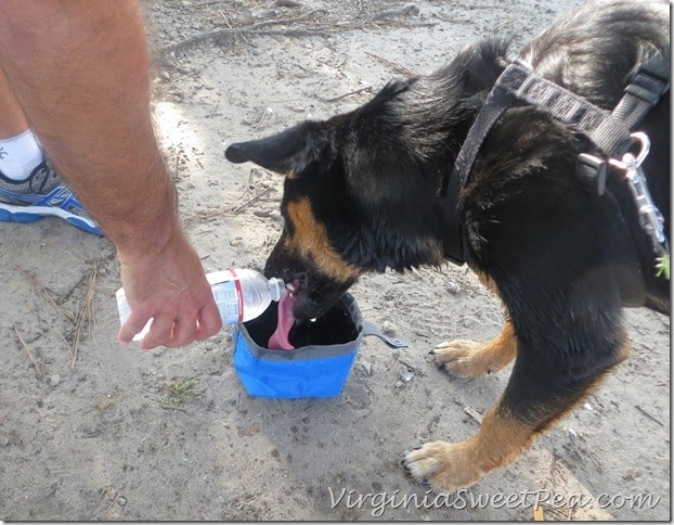 Sherman Drinking Water