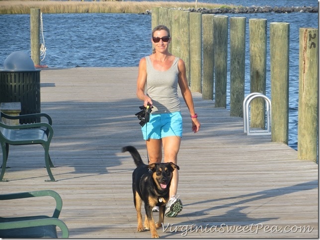 Sherman Walking in Manteo