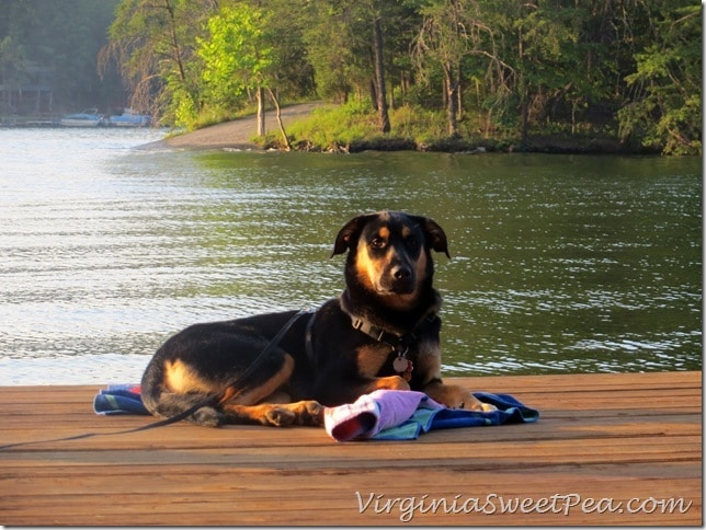 Sherman on the Dock