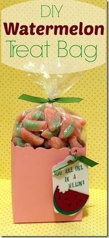 Watermelon_Treat_Bag-001