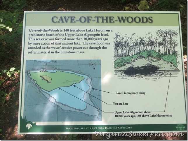 Cave of the woods