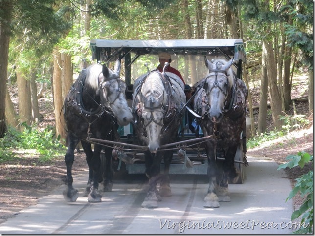 Meeting a Carriage While Walking