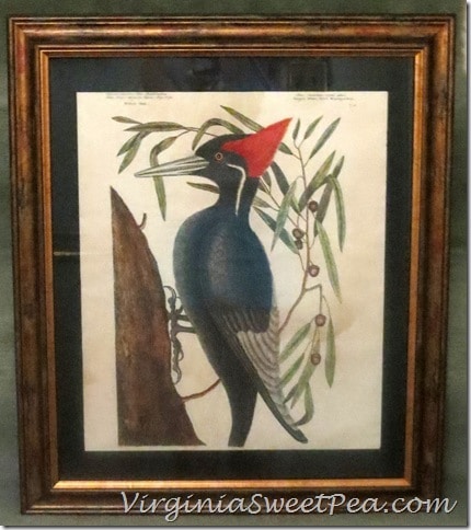 Woodpecker Picture Framed