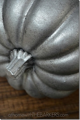 Aged-Zinc-Pumpkin-Stem-700x1056