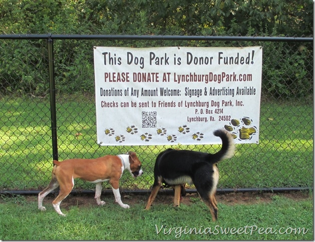 Lynchburg Dog Park - Donate