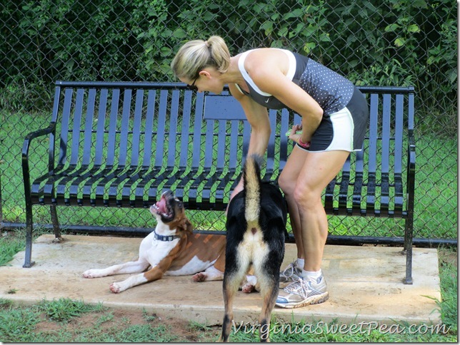 Lynchburg Dog Park - Shade