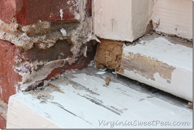 Rotten Wood in Window