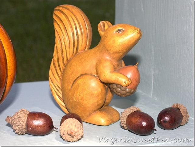 Squirrel and Acorn