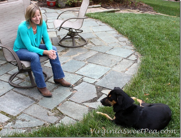 Stitch Fix Outfit with Jeans