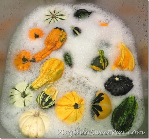 Wash Gourds