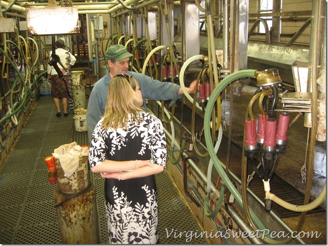 Ahalt Milking Parlor