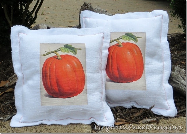 Pumpkin Pillows