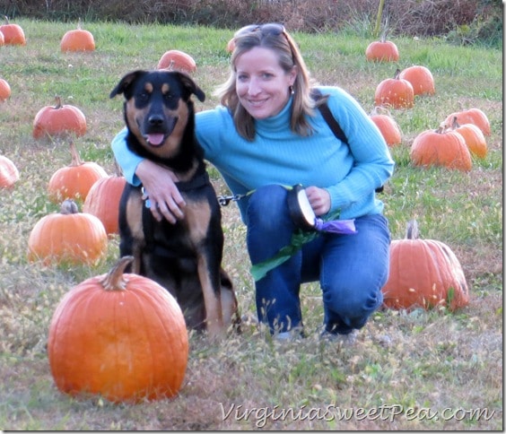 Sherman Skulina visits the pumpkin patch