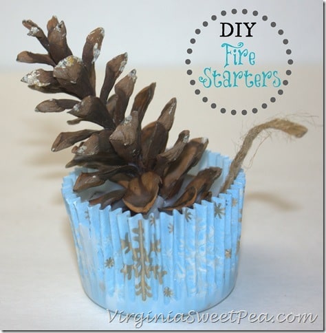 DIY Fire Starters by virginiasweetpea.com