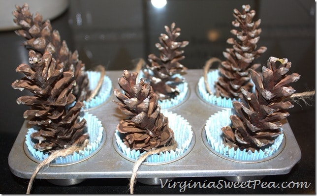 Pinecones in muffin tin