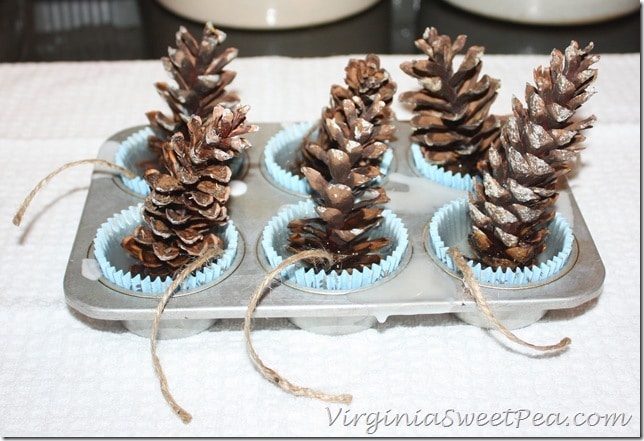 Pinecones with Wax