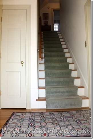 Carpet on Our Steps