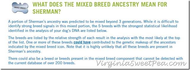 Mixed Breed