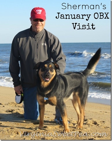 Sherman Skulina at OBX in January by virginiasweetpea.com